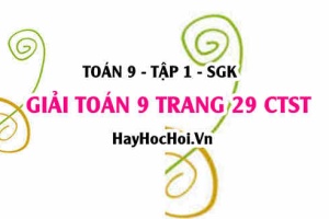 Giải Toán 9 trang 29 tập 1 Chân trời sáng tạo SGK